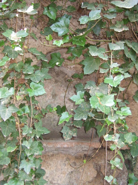 The buried altar under the small niche.