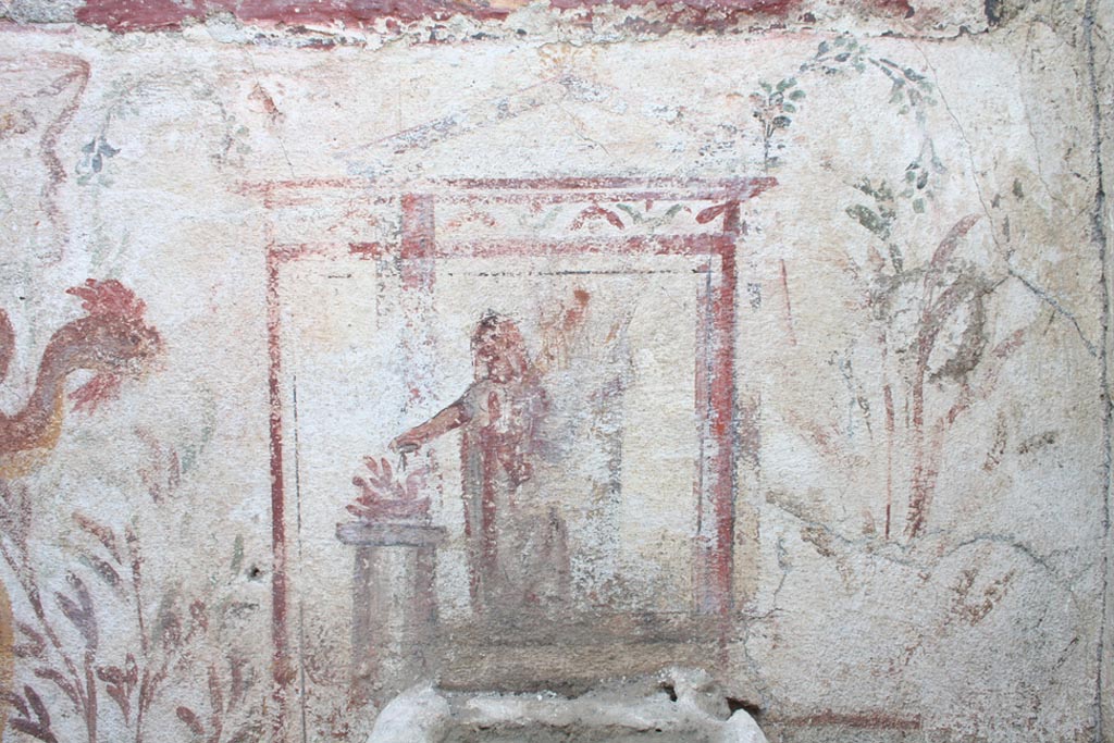 IX.10.1 Pompeii. Lararium and altar recently found in room 12.
The altar is surmounted by a painted rectangular aedicule terminating in vegetal whorls, and which frames the Genius patrisfamilias with cornucopia and patera making libations at a circular altar.
L’altare è sormontato da un’edicola rettangolare dipinta e terminante in girali vegetali, che inquadra il Genius patrisfamilias con cornucopia e patera che compie libagioni presso un altare circolare.
See PAP e-journal 6, 28.09.2023, p. 65, fig. 14. Download: PAP e-journals 2023 collection volumes 01-09 
Photograph © Parco Archeologico di Pompei.
