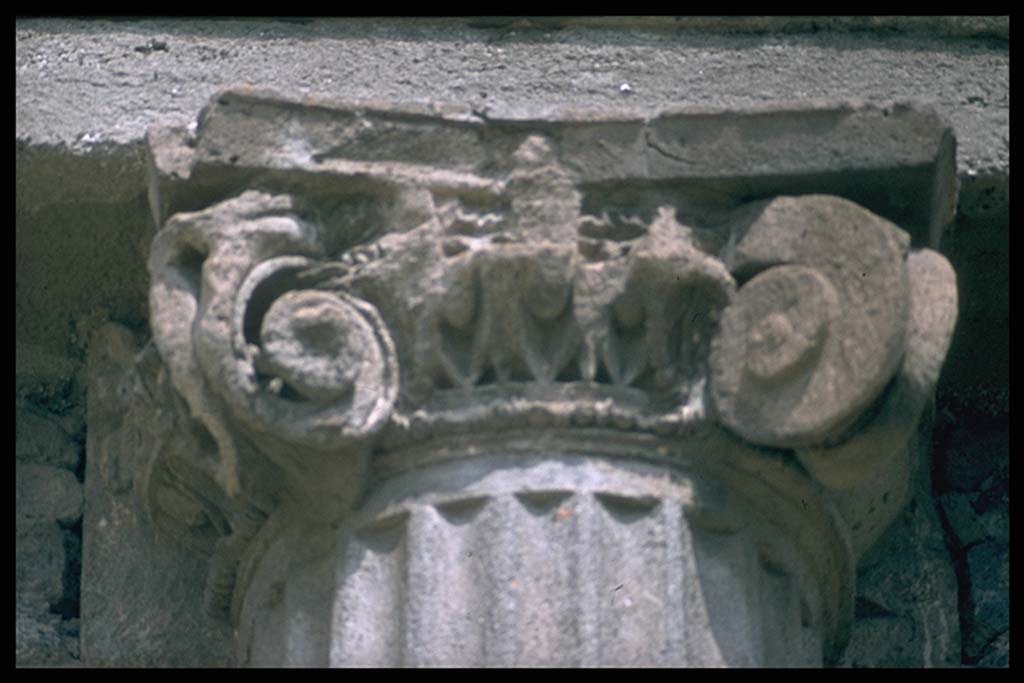 M.9. Column and capital, from unknown location. 
Photographed 1970-79 by Günther Einhorn, picture courtesy of his son Ralf Einhorn.

