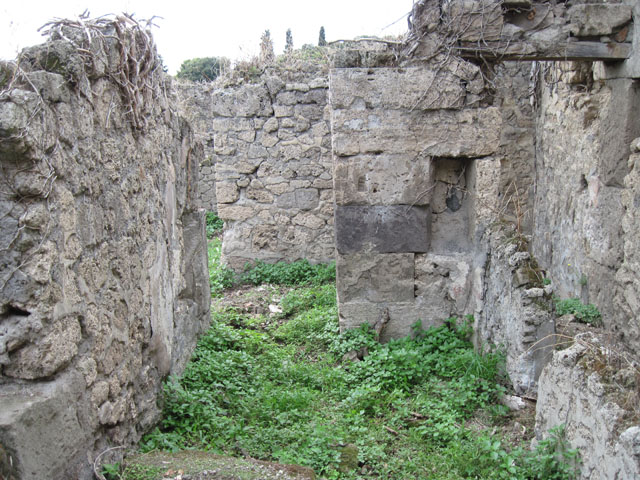 I.3.29 Pompeii.  March 2009. Room 4. North wall. Tablinum.