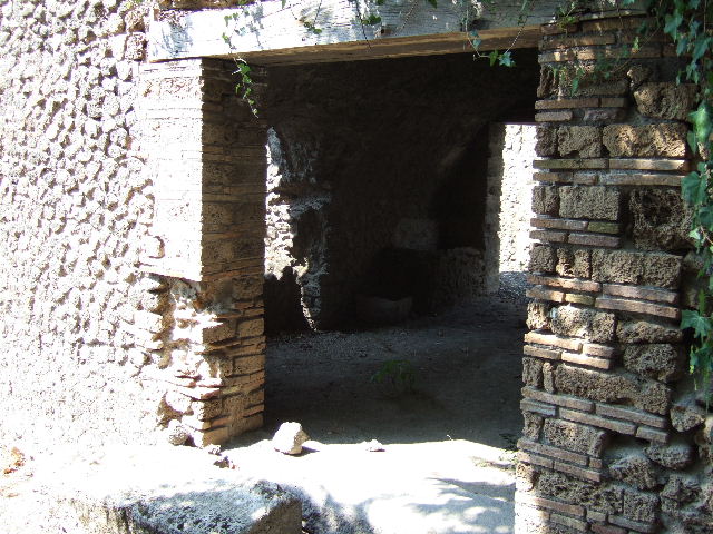 I.3.31 Pompeii.  March 2009. Entrance. Looking north.