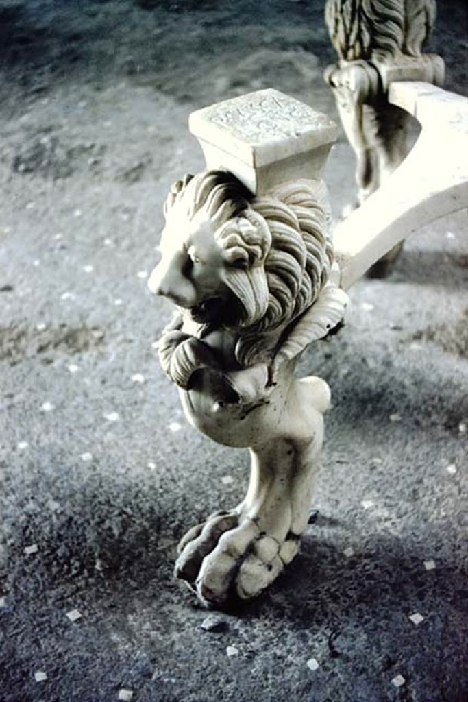 I.6.11 Pompeii. 1959. Details from marble tripod table leg with lion’s head and paw. Photo by Stanley A. Jashemski.
Source: The Wilhelmina and Stanley A. Jashemski archive in the University of Maryland Library, Special Collections (See collection page) and made available under the Creative Commons Attribution-Non Commercial License v.4. See Licence and use details.
J59f0351
