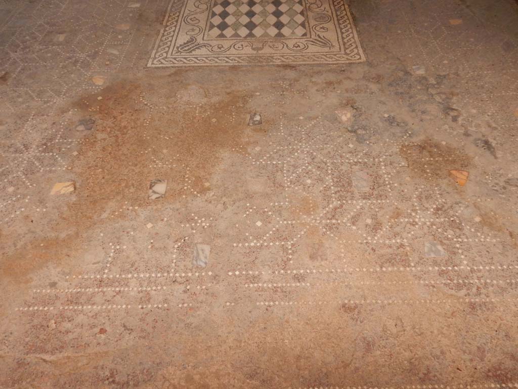 I.6.15 Pompeii. June 2019. Room 6, detail of flooring in tablinum. Photo courtesy of Buzz Ferebee.