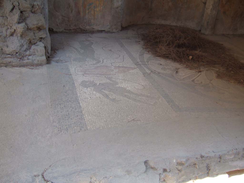 I.6.16 Pompeii. May 2006. West end of the mosaic flooring of calidarium.