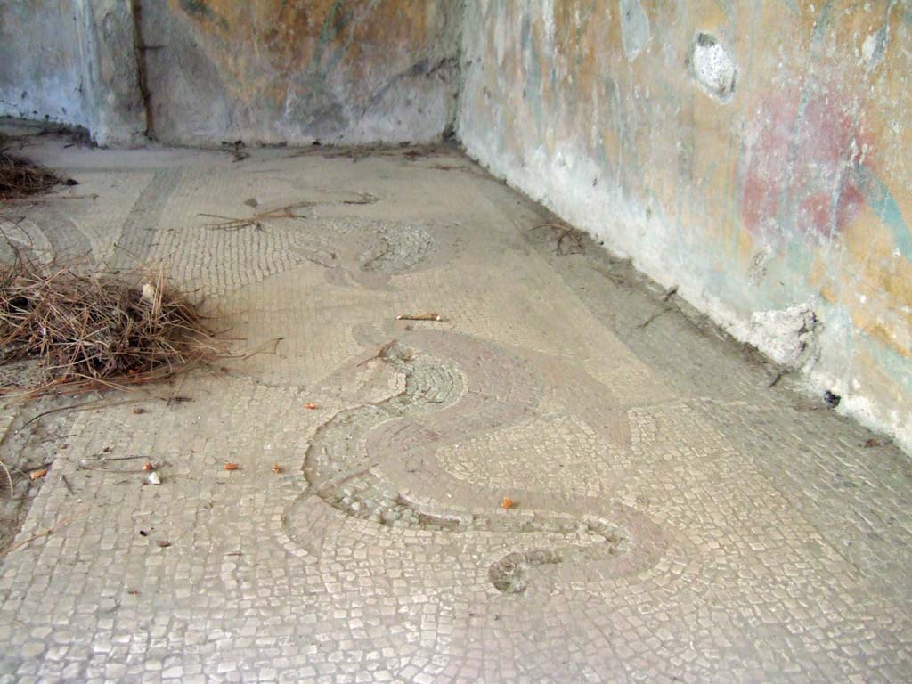 I.6.16 Pompeii. May 2006. View from rear entrance, east side of mosaic floor with two dolphins.