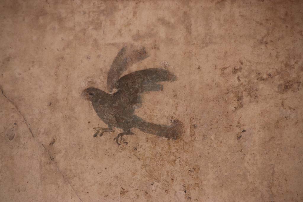 I.7.11 Pompeii. September 2021. 
East wall of exedra, detail of painted bird from under panther in panel on south side. Photo courtesy of Klaus Heese.
