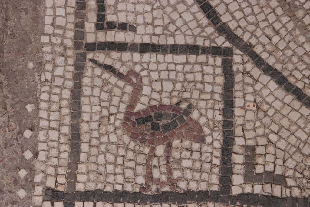 I.7.11 Pompeii. September 2021. Detail of mosaic bird, from central emblema in exedra. Photo courtesy of Klaus Heese.