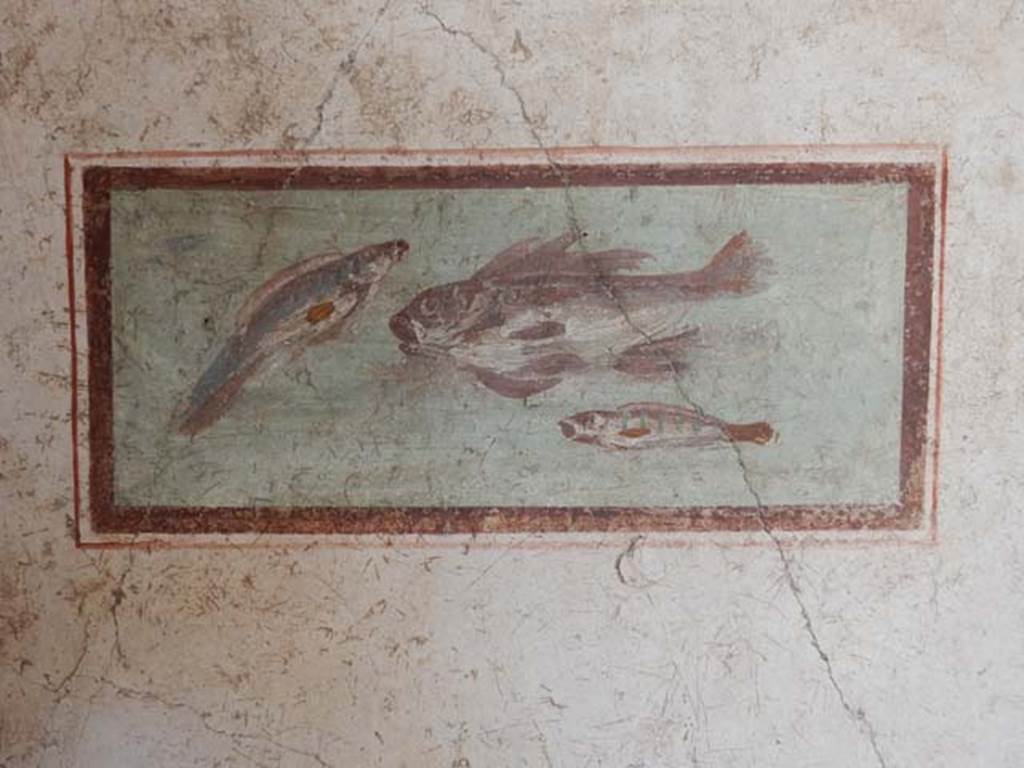 I.7.11 Pompeii. May 2017. Cubiculum to south-east of atrium. Wall painting of fish from west end of south wall 
Photo courtesy of Buzz Ferebee.