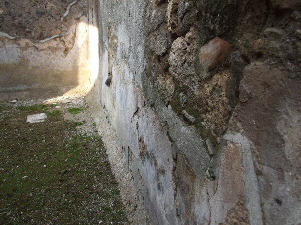 I.7.19 Pompeii. December 2006. East wall with remains of garden painting on plaster, in small garden area.