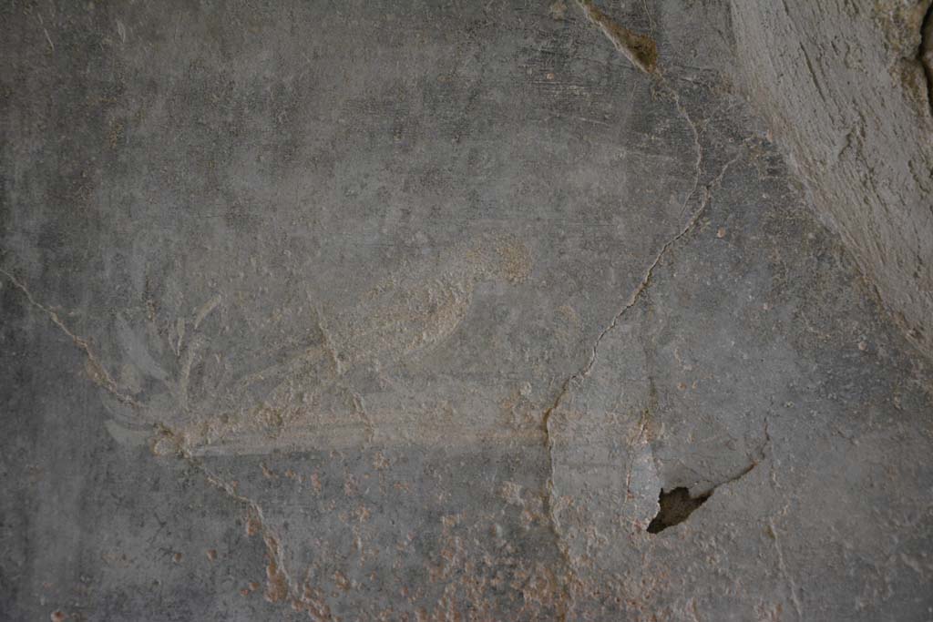 I.8.17 Pompeii. March 2019. Room 7, detail of painted bird from centre of black side panel on west wall at south end.   
Foto Annette Haug, ERC Grant 681269 DCOR.
