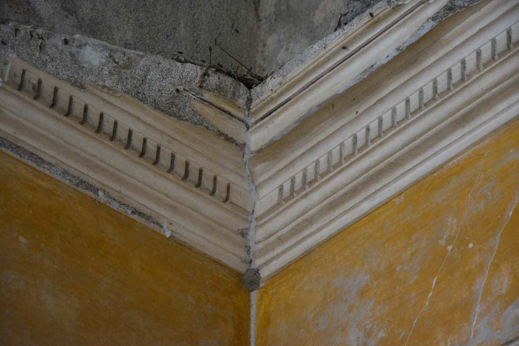 I.8.17 Pompeii. March 2019. Room 9, cornice in upper north-east corner.
Foto Annette Haug, ERC Grant 681269 DCOR.
