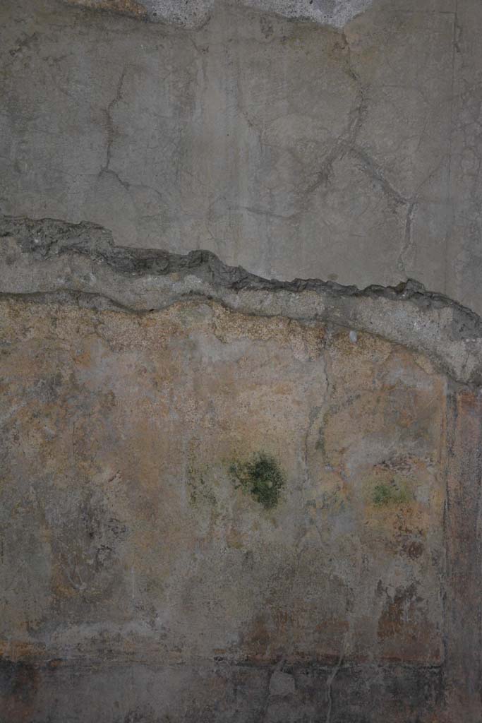I.8.17 Pompeii. March 2019. Room 9, detail from remaining central painting on east wall.
Foto Annette Haug, ERC Grant 681269 DCOR.
