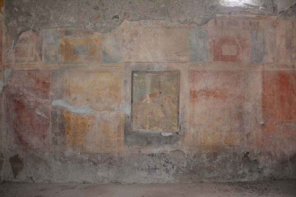 I.8.17 Pompeii. March 2019. Room 9, south wall of tablinum with central painting.
Foto Annette Haug, ERC Grant 681269 DCOR.


