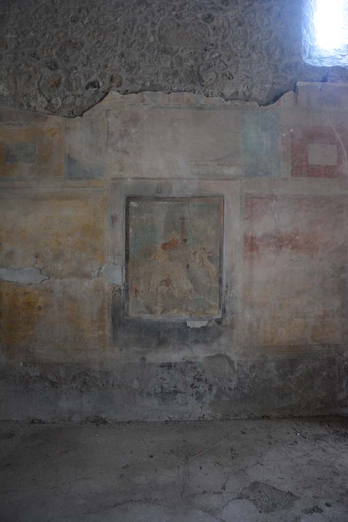 I.8.17 Pompeii. March 2019. Room 9, central panel on south wall of tablinum.
Foto Annette Haug, ERC Grant 681269 DCOR.
