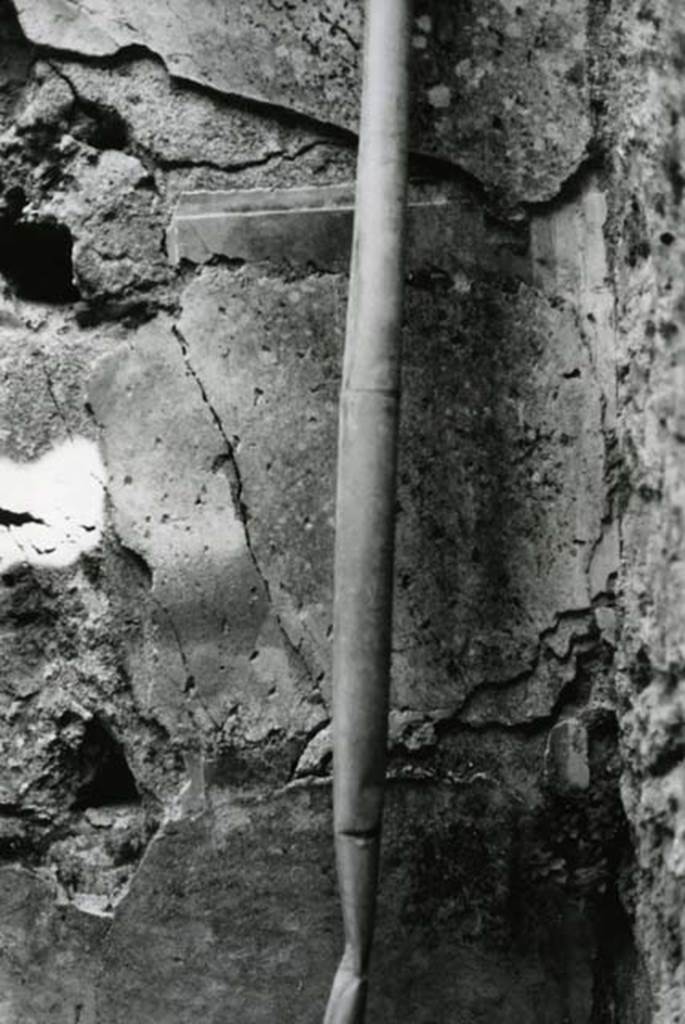 I.9.1 Pompeii. 1975. House of the Beautiful Impluvium, last room left, back E wall.  
Photo courtesy of Anne Laidlaw.
American Academy in Rome, Photographic Archive. Laidlaw collection _P_75_5_14.
