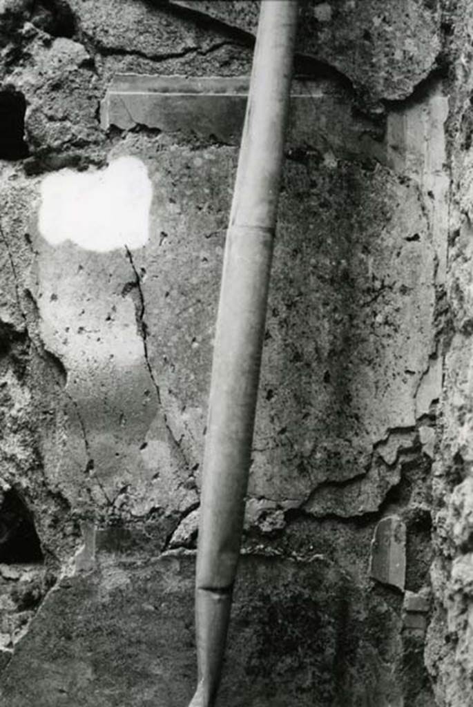 I.9.1 Pompeii. 1975. House of the Beautiful Impluvium, last room left, E wall by SE corner, general view, detail of orthostat and bottom of narrow one.  Photo courtesy of Anne Laidlaw.
American Academy in Rome, Photographic Archive. Laidlaw collection _P_75_5_15.
