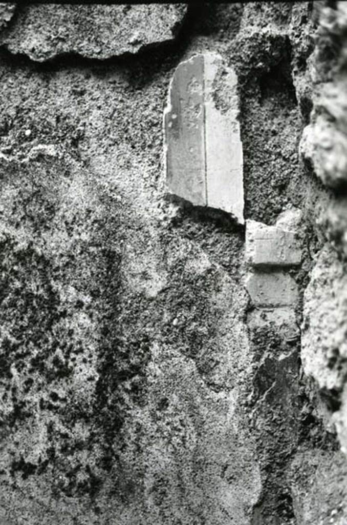 I.9.1 Pompeii. 1975. House of the Beautiful Impluvium, last room left, E wall by SE corner, general view, detail of orthostat and bottom of narrow one.  Photo courtesy of Anne Laidlaw.
American Academy in Rome, Photographic Archive. Laidlaw collection _P_75_5_16.
