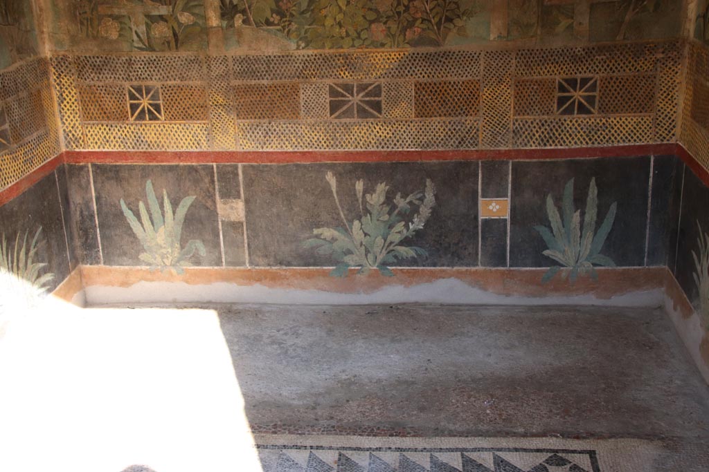 I.9.5 Pompeii. October 2022. Room 5, zoccolo from lower east wall. Photo courtesy of Klaus Heese.