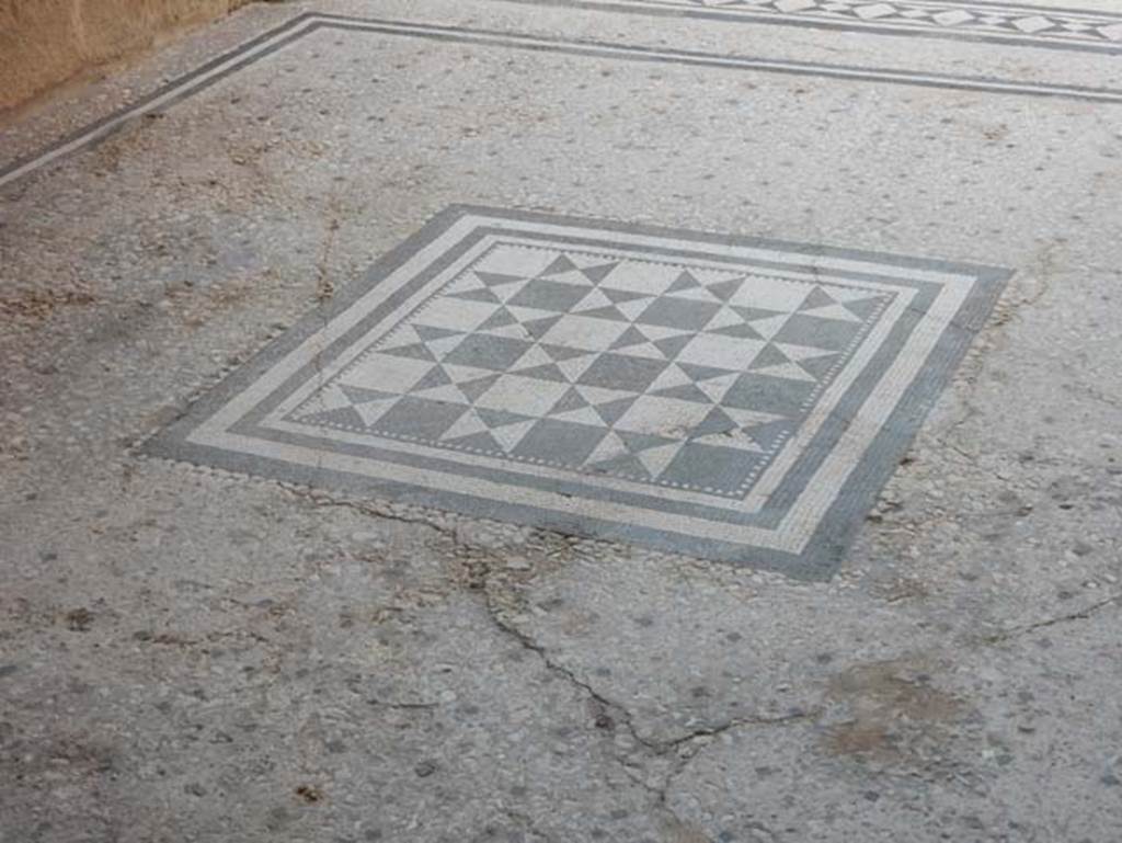 I.9.5 Pompeii. May 2017. Room 8, detail of flooring in tablinum. Photo courtesy of Buzz Ferebee.