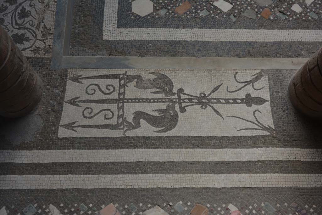I.10.4 Pompeii. September 2019. Room 46, mosaic of two dolphins and a trident.
Foto Annette Haug, ERC Grant 681269 DCOR.
