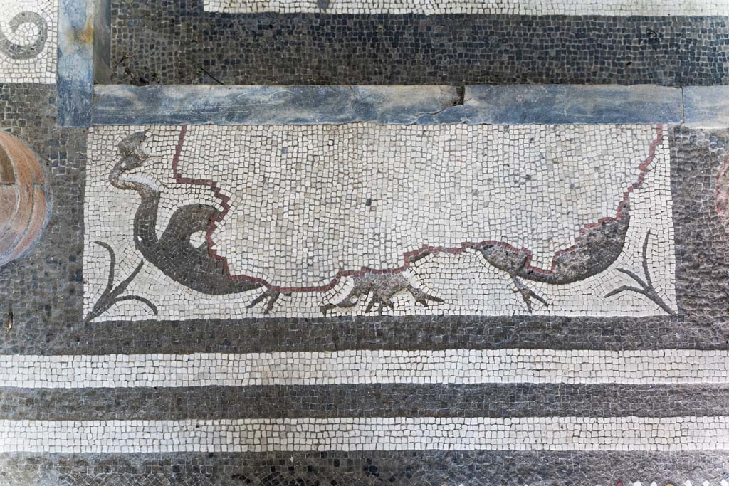 I.10.4 Pompeii. April 2022. Room 46, mosaic in baths atrium. Photo courtesy of Johannes Eber.