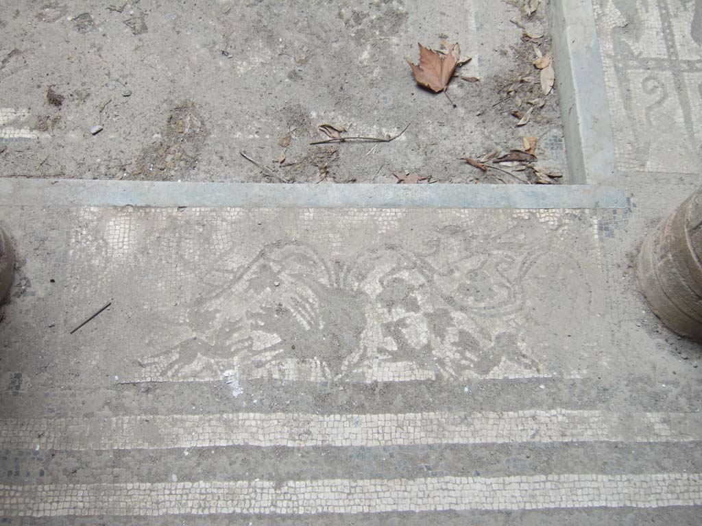 I.10.4 Pompeii. May 2006. Room 46, atrium. Mosaic of dogs attacking a giant sea creature?