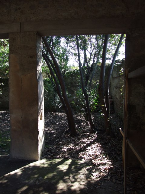 I.10.7 Pompeii. March 2009.  Room 7.  Tablinum.