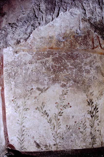 I.12.8 Pompeii.  March 2009.  Room 10. Kitchen. North west corner with Lararium.  On the north wall can just be seen some cloth, which has adhered to the Lararium and damaged it. It used to show one serpent approaching a round altar from the right.  See Giacobello, F., 2008. Larari Pompeiani: Iconografia e culto dei Lari in ambito domestico.  Milano: LED Edizioni.  (p.152-3).