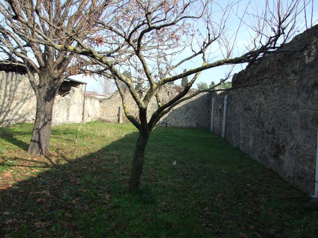 1.12.14 Pompeii.  Horticultural plot.  December 2007.  North east corner.