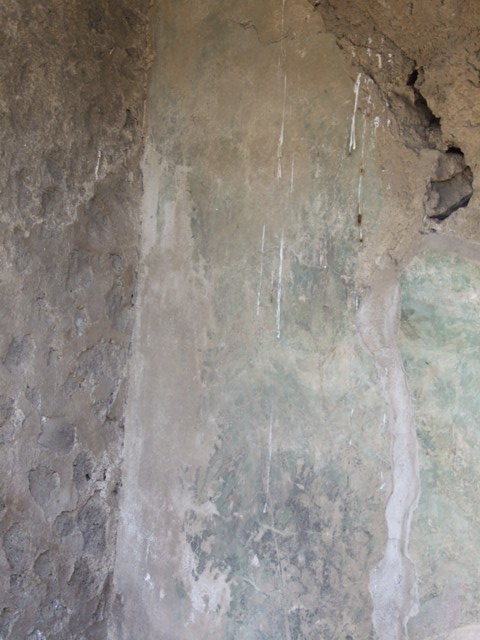 I.12.16 Pompeii.  March 2009. Room 4.  East wall.  North end.  Detail of Garden painting.

