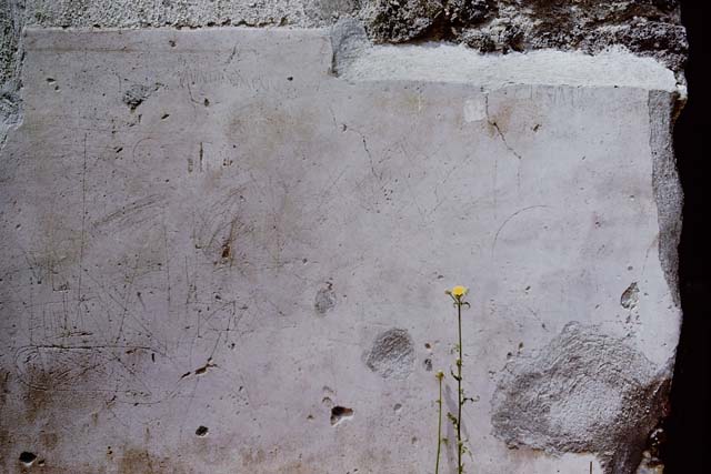 I.13.9  Domus of Lesbianus and Numicia Primigenia