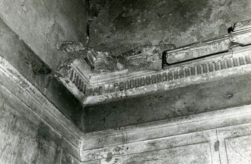I.15.1 Pompeii. 1981.  House, cubiculum 3, room on west side of entrance corridor, NE corner, detail of moulding.  Photo courtesy of Anne Laidlaw.
American Academy in Rome, Photographic Archive. Laidlaw collection _P_81_2_12.
