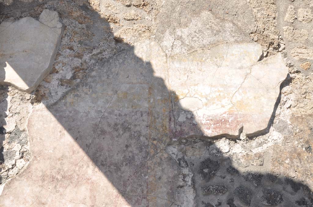 I.16.1a Pompeii. July 2017. Detail of painted plaster on east wall at north end.
Foto Annette Haug, ERC Grant 681269 DÉCOR.

