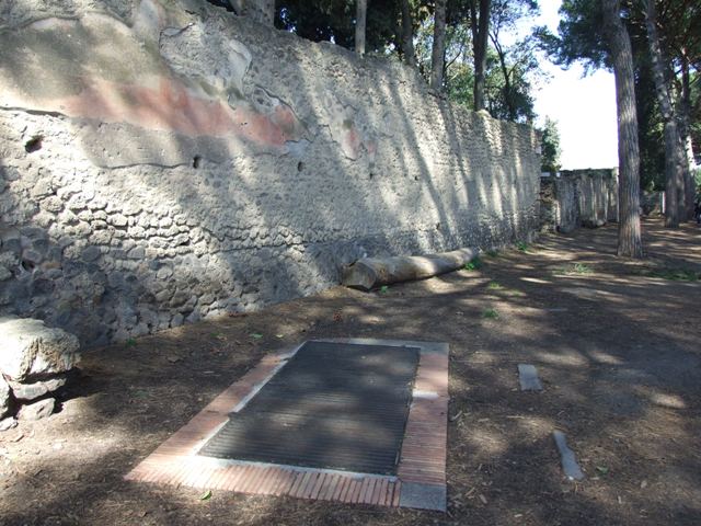 II.2.5 Pompeii. May 2005.  Looking north, from the rear entrance.