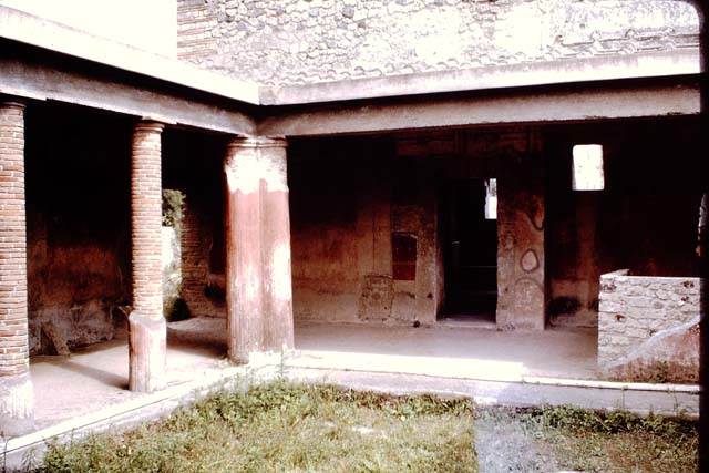II.4.6 Pompeii. May 2017.  South wall in south-east corner, on left side of doorway to apodyterium.
Photo courtesy of Buzz Ferebee.
According to PPM, the vignettes and borders were systematically removed and taken away during the Bourbon period. 
See Carratelli, G. P., 1990-2003. Pompei: Pitture e Mosaici: Vol. III.  Roma: Istituto della enciclopedia italiana, p. 210. 
