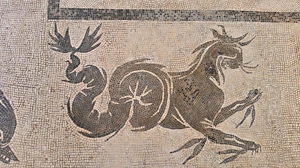 II.4.6 Pompeii. July 2019. Border edging of mosaic in atrium.
On display in Naples Archaeological Museum.  Photo courtesy of Giuseppe Ciaramella.


