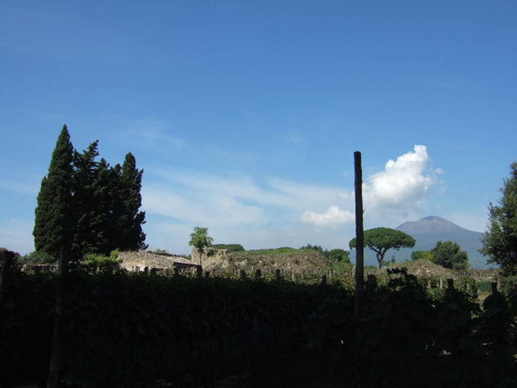 II.5.5 Pompeii. September 2005. Looking north-west across II.5 towards II.5.1.

 
