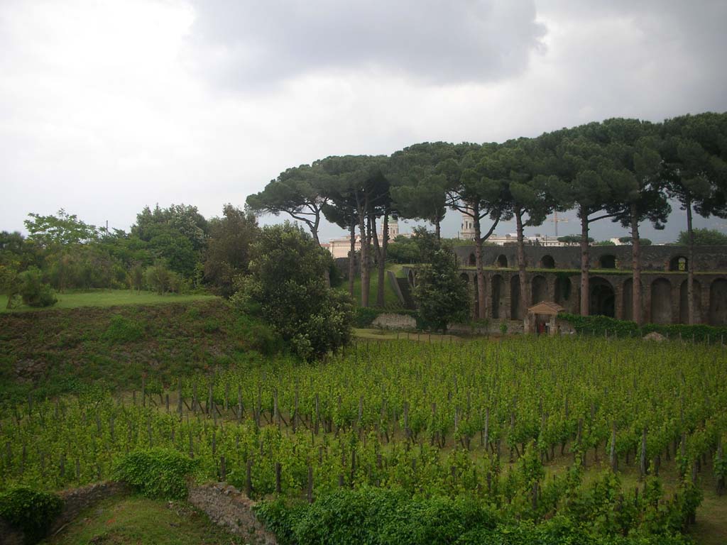 II.5.5 Pompeii. May 2010. 
Looking south-east across replanted vineyard towards entrance gateway, and amphitheatre. Photo courtesy of Ivo van der Graaff.
