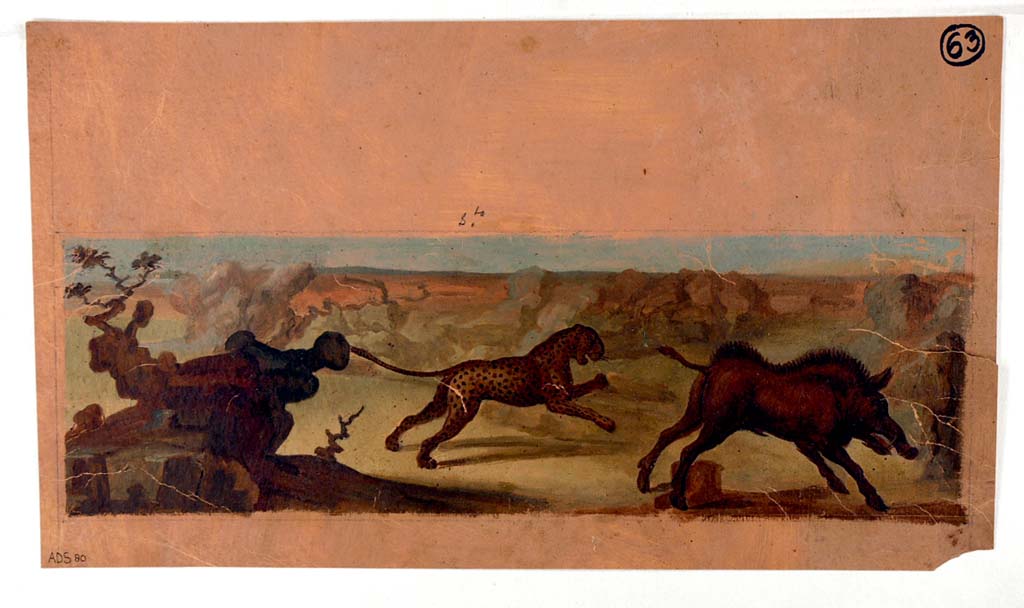 II.6 Pompeii. ADS 80. Inner wall of amphitheatre, painting now lost. 
Painting by Francesco Morelli of amphitheatre podium panel, showing the hunt of the wild beasts, panther and boar, see ADS 89 above. 
Now in Naples Archaeological Museum. Inventory number ADS 80.
Photo © ICCD. http://www.catalogo.beniculturali.it
Utilizzabili alle condizioni della licenza Attribuzione - Non commerciale - Condividi allo stesso modo 2.5 Italia (CC BY-NC-SA 2.5 IT)

