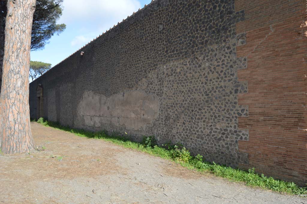 II.7.7 Pompeii. Palaestra. March 2019. Exterior north wall on south side of Via di Castricio, site of graffiti.
Foto Taylor Lauritsen, ERC Grant 681269 DCOR.

