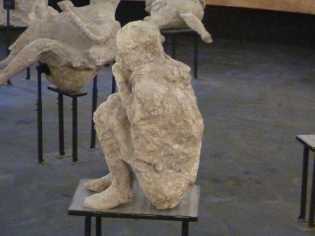 II.7.11 Pompeii. Palaestra. September 2015. On display as an exhibit in the Summer 2015 exhibition in the amphitheatre. When this body was cast, he was found to be tipped forwards, huddled up and bent double on his knees, when restored he was placed in this position. 
See Stefani, G. (2010). The Casts, exhibition at Boscoreale Antiquarium, 2010. (p.10)

