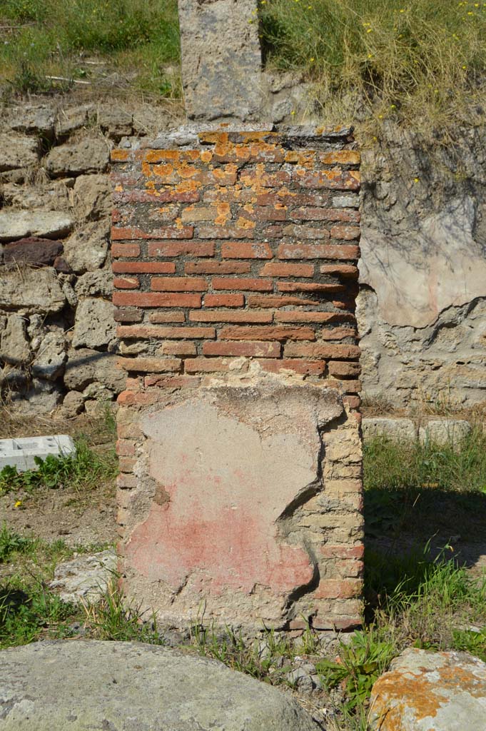 IV.2.a, Pompeii. October 2017. Pilaster on west side of portico, looking north to south side.
Foto Taylor Lauritsen, ERC Grant 681269 DCOR.
