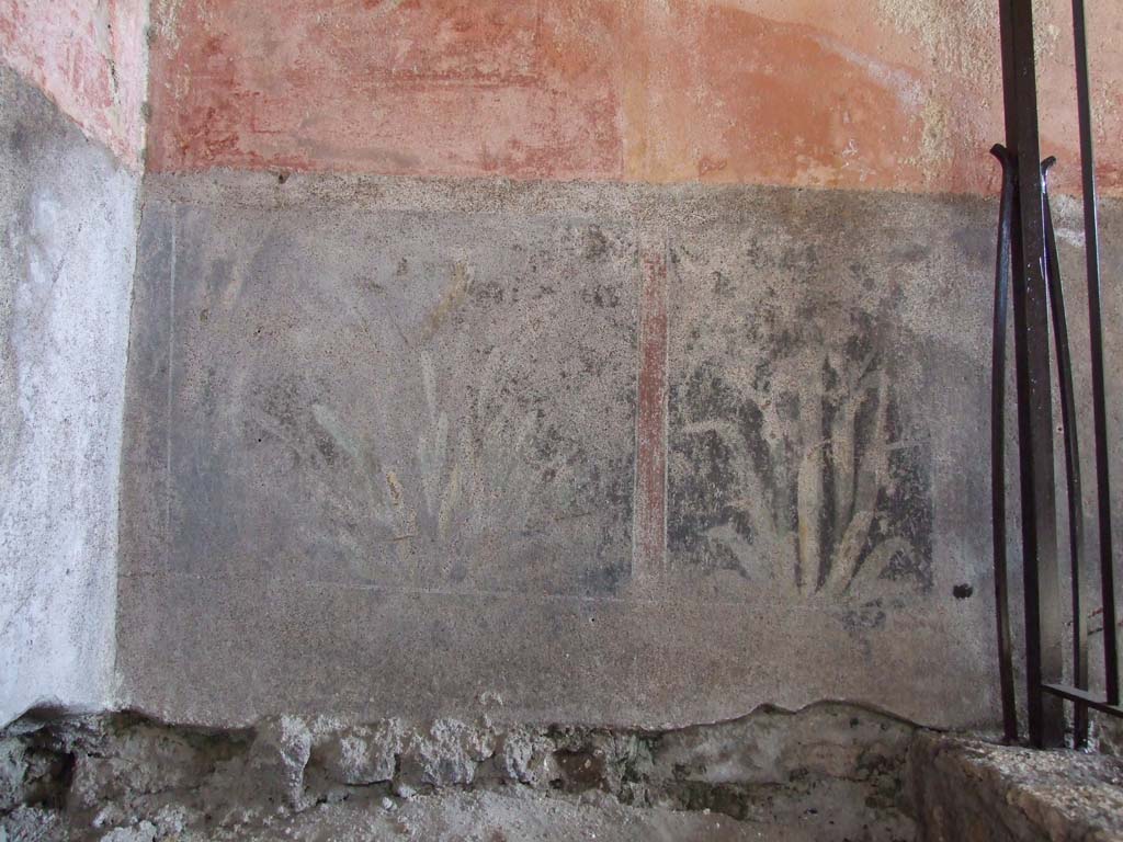 V.1.26 Pompeii. March 2009. Room L, east wall above steps down to cellar, with plant painting.