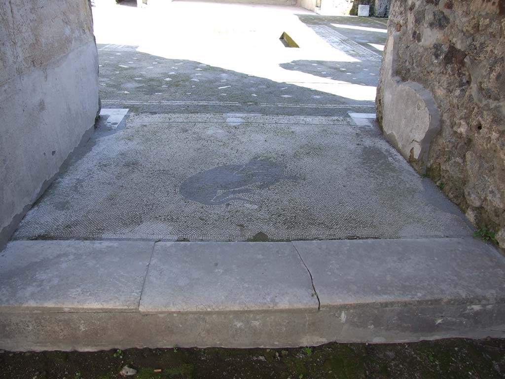 V.1.26 Pompeii. March 2009. Entrance corridor, with mosaic of dog and step from vestibule.