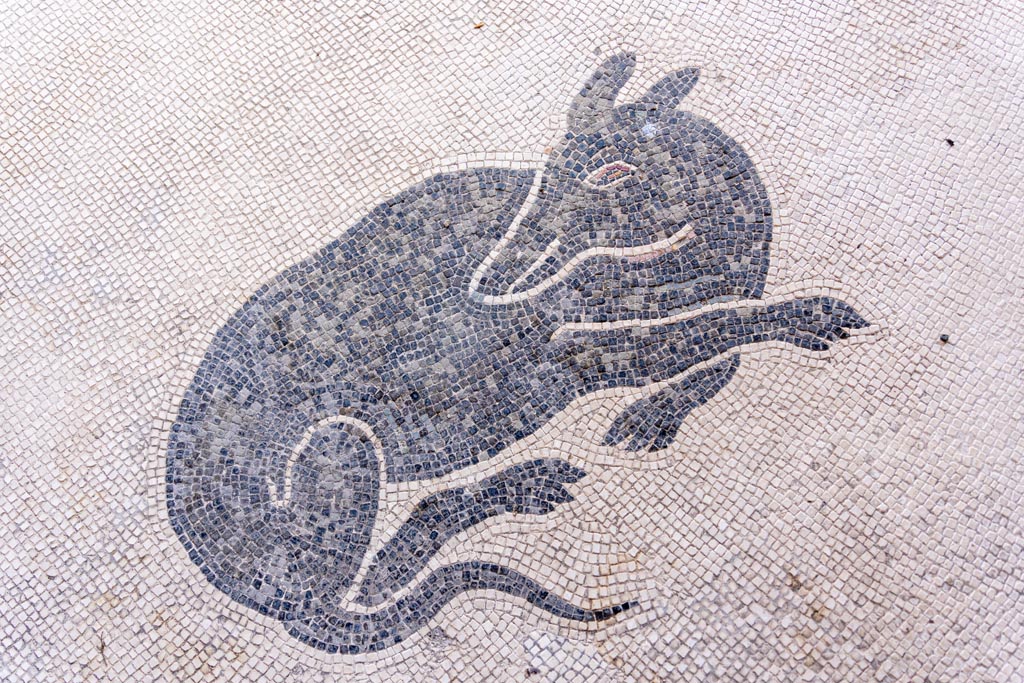 V.1.26 Pompeii. October 2020. Mosaic of dog in vestibule. Photo courtesy of Klaus Heese.