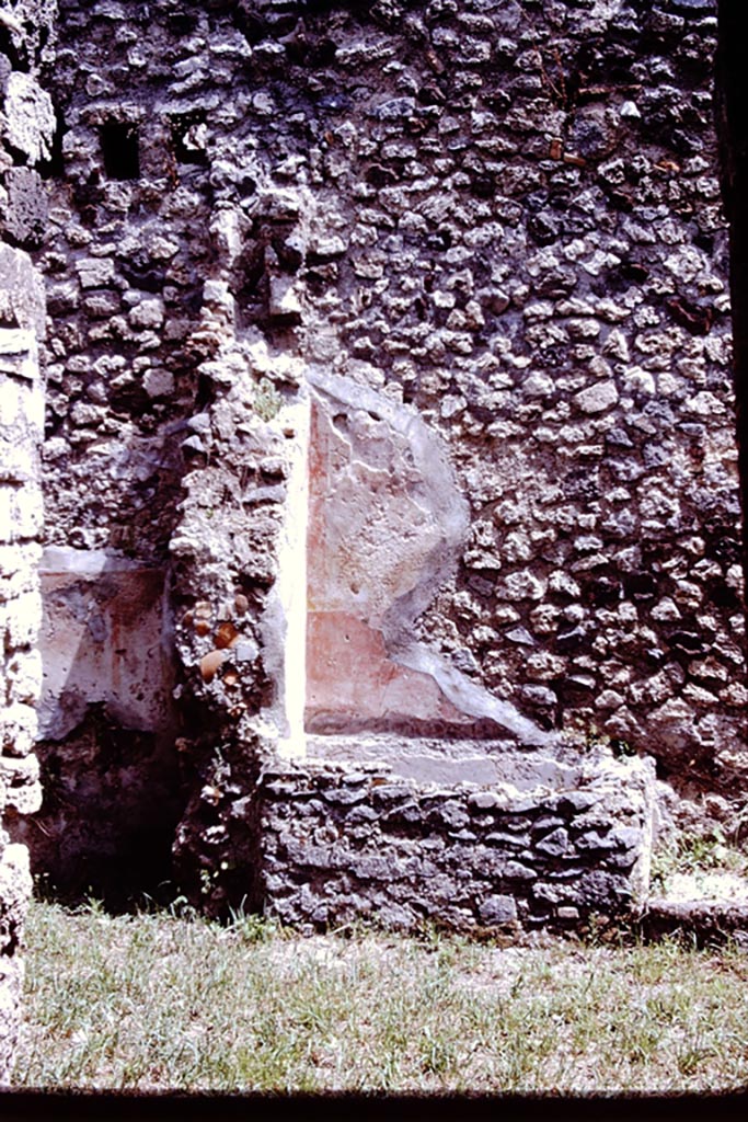V.1.28 Pompeii. 1972. East wall of atrium. In 1972, Wilhelmina could only just make out three leaves. See Jashemski, W. F., 1993. The Gardens of Pompeii, Volume II: Appendices. New York: Caratzas. (p.335). Photo by Stanley A. Jashemski. 
Source: The Wilhelmina and Stanley A. Jashemski archive in the University of Maryland Library, Special Collections (See collection page) and made available under the Creative Commons Attribution-Non Commercial License v.4. See Licence and use details. J72f0403
