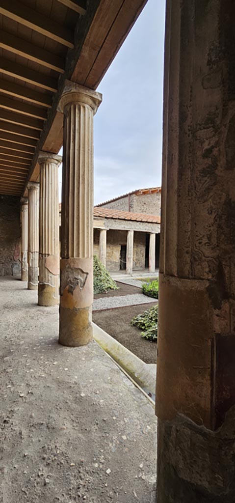 V.2.i Pompeii. December 2023.
Room 23, looking east along columns on north side of peristyle. 
Photo courtesy of Miriam Colomer.

