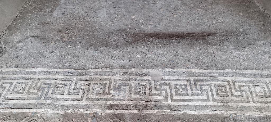 V.2.i Pompeii. December 2023. Room 19, mosaic doorway threshold. Photo courtesy of Miriam Colomer.