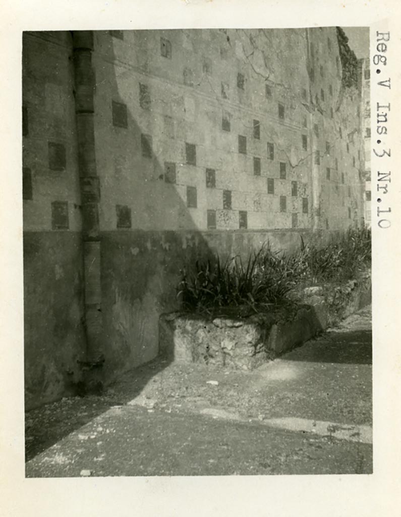 V.3.10 Pompeii. Pre-1937-39. Looking towards west wall and narrow raised planting bed built against the wall of the garden. 
Photo courtesy of American Academy in Rome, Photographic Archive. Warsher collection no. 690.
