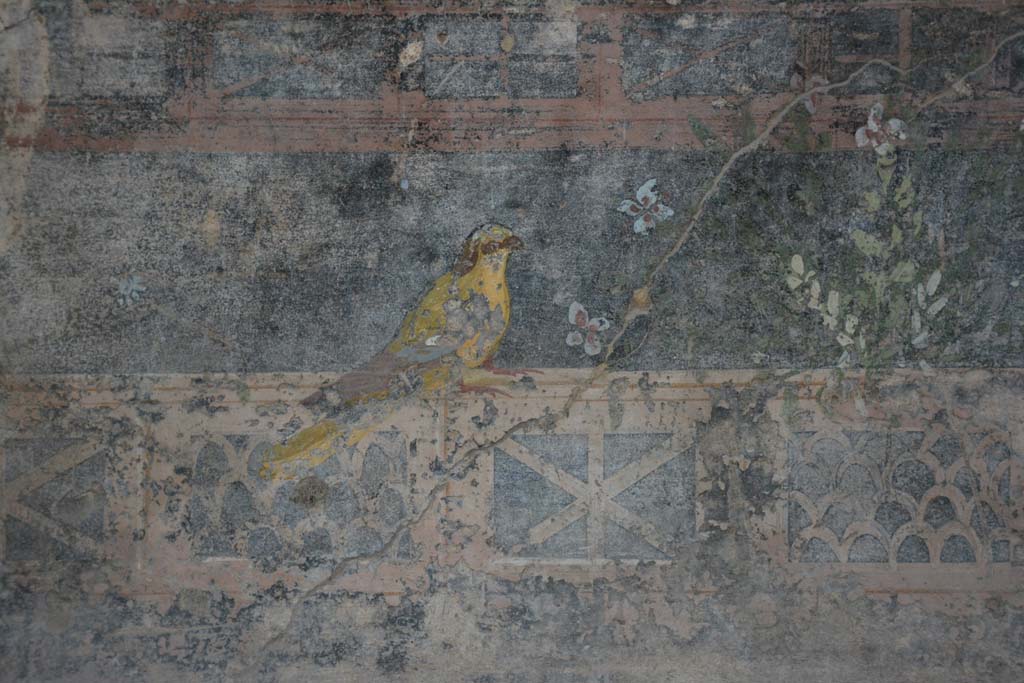V.4.a Pompeii. March 2019. Room ‘h’, detail of bird from zoccolo of lower north wall at west end.
Foto Annette Haug, ERC Grant 681269 DÉCOR.
